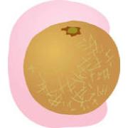 asianpear
